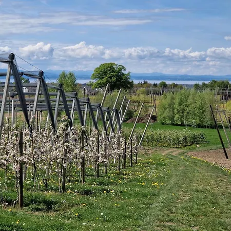 Obstgarten *
