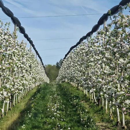 Obstgarten アパート テットナング