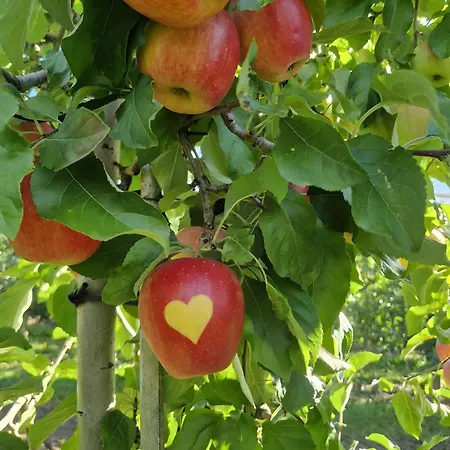 Obstgarten アパート *
