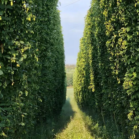 Obstgarten テットナング